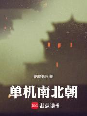 单机南北朝好看吗
