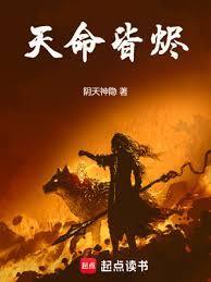 天命皆烬搜读