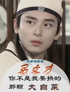马文才是主角的
