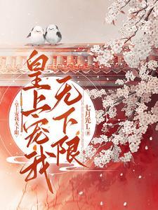 皇上宠妻无度
