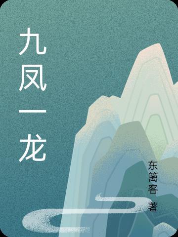 九龙一凤txt