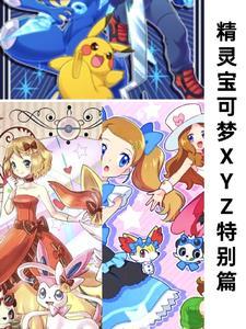 精灵宝可梦xyz续篇哔哩哔哩