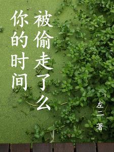 时间被谁偷走了视频