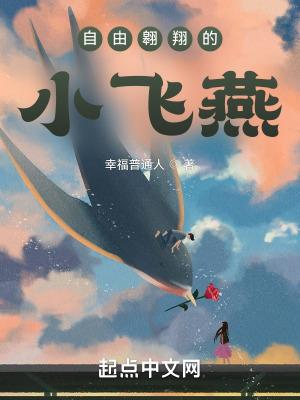 自由飞翔的鸟儿