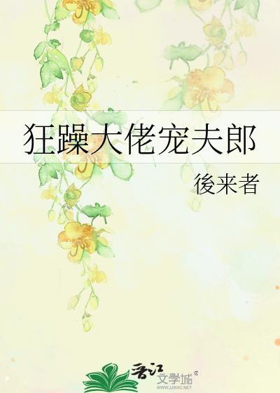 狂躁大佬宠夫郎TXT阅读