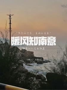 南风暖窗