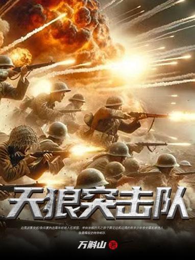 天虎突击队免费