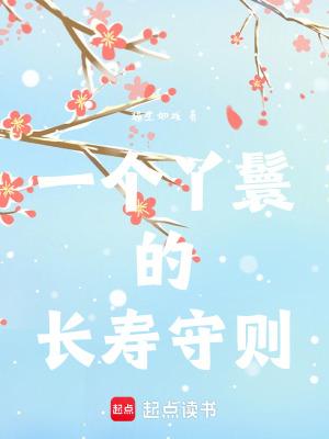 一个丫鬟什么电视剧