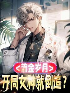 流金岁月主角