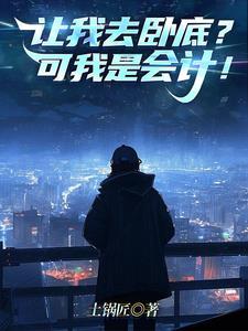 让我去卧底可我是会计