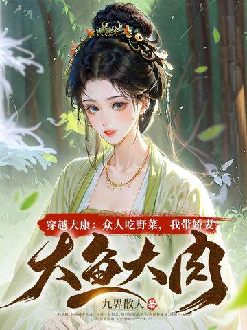 主角穿越到大康王朝的