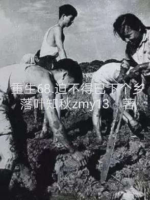 重生68