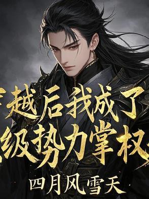 穿越后我成了顶级势力掌权人免费阅读