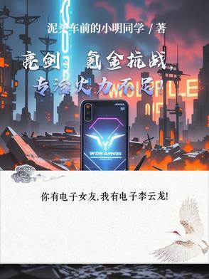 亮剑版游戏