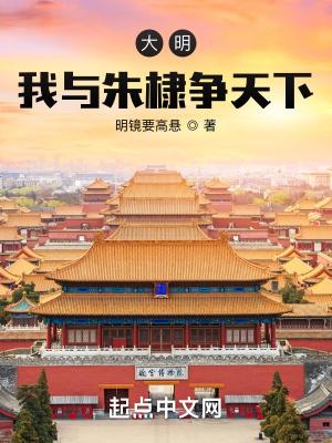 大明我与朱棣争天下百度百科