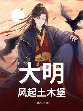 大明风华 土木堡之变