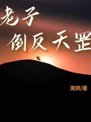 是啥意思