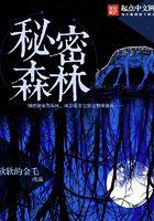 秘密的森林韩剧在线观看免费全集电视剧高清