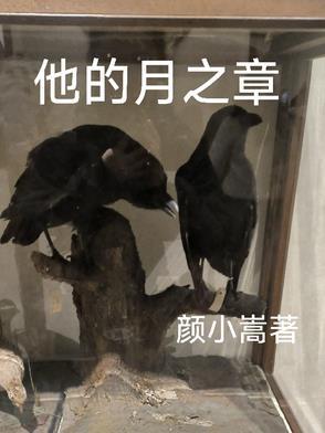 他的月色之下全文免费阅读