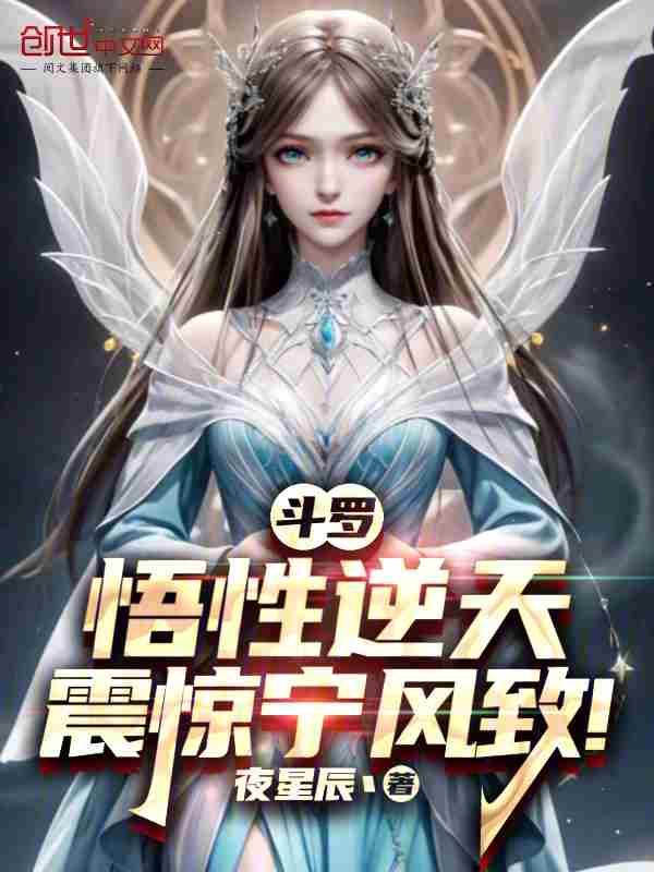 斗罗之宁风