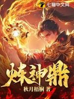 炼神鼎全本免费阅读