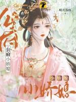 公府娇妾